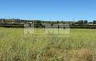 Teren intravilan agricol | 1200€  arul | Suceava - 2