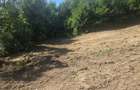 Teren Valea Doftanei,  zona Pe Vale - Baraj Paltinu - 4