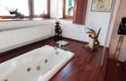 Apartament rustic, deosebit de 98 mp,  cu gradina, in Andrei Muresanu - 11