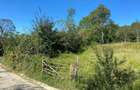 TEREN DE VANZARE INTRAVILAN  2.500MP | VISINESTI I DEALURILE SULTANULUI I - 1