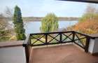 Vila lac snagov in cea mai buna portiune a lacului, ponton, garaj barca, piscina - 6