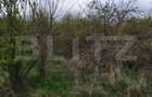 Teren INTRAVILAN 8280 mp, zona Laminorului - 3
