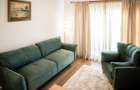 Casa individuala LUX, 240 mp, teren 500 mp, str. Dianei, Faget - 8