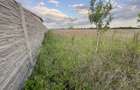 Teren Intravilan Becicherecu Mic ,776 mp,Fs. 17,5m - 3