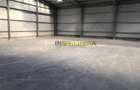 Hala de inchiriat 600 mp in Alba Iulia constructie noua - 6
