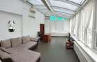 Vanzare apartament penthouse Gradina Icoanei - 7
