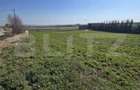 Teren intravilan, 900 mp, zona Luna - Luncani - 3
