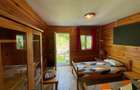 Cabana/Vila de inchiriat Valea Budului, Margineni - 9