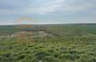 Teren intravilan 10.000 mp | DN | Zona Volvo - Hala Neagră - 4