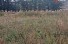 Teren intravilan de 1508 mp cu utilitati - Ianova - 2