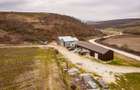 Vie de 115 Hectare în satul Dud, județul Arad - 8