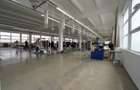 Platformă comercial–industrială cu venit activ || Macin - Tulcea - 12