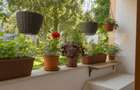 Apartament 4 camere, decomandat, etajul 1, balcon, Manastur - 9