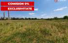 COMISION 0% Teren de vanzare intravilan de 5000 mp in zona Sagului - 8
