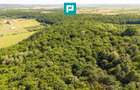 TEREN AGRICOL EXTRAVILAN  22.900 MP LIPOVA - 18