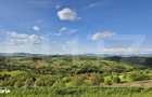 Teren intravilan de vanzare, 2962 mp, zona Sulighete, Deva - 5