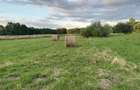 TEREN INTRAVILAN\699 mp, 45€ mp\ CARANSEBEȘ\ ZONA TEIUȘ - 2