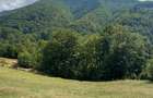 Teren Montan 6.572 mp Jieț (Petrila , Județul Hunedoara) - 5