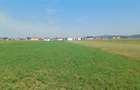 Teren intravilan 2500 mp  de vanzare - 1