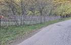 Teren intravilan 600 mp, liziera pădurii, Balotești, Posibilitate casa Parter - 2