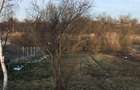 Moara Vlasiei / Casa + 3050 mp / deschidere lac 36ml / toate utilitatile - 10
