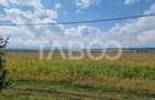 Oportunitate investitie Comision 0%  28000 mp in Sura Mica Sibiu - 4