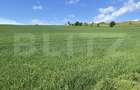 Teren generos 15.900 mp (intravilan + extravilan) în Sâncraiu de Mureș - 1