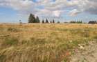 Teren, 1000 mp, intravilan, utilitati, zona Beliș - 1
