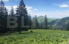 De vanzare, teren intravilan 10650mp, Predeal - 10