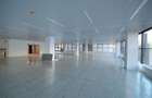 ONE Herastrau Office, Caramfil, 620 mp  0% comision! - 11