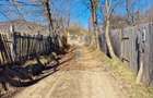 Teren intravilan de 4.000 mp în Bistrița – Alexandru cel Bun - 3