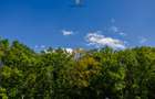 Parcele la padure, între Timișoara și Ghiroda/Giarmata Vii - Com 0% - 17
