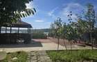 Vanzare apartament Snagov, teren, ponton, lac - 3