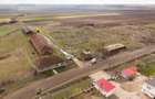 Fermă cu teren intravilan de 35000 mp în Mișca - 26