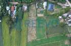 Teren intravilan 4.000 mp Blăgești, Bacău - 5