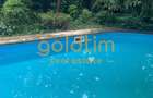 CASUTA DIN POVESTI/CURTE 1100MP/GRADINA MAGICA/SAUNA/PISCINA/SNAGOV - 33