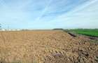 „Corbeanca – aer curat, potențial mare, preț competitiv. 4 loturi - 5