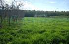 Proprietate cu teren, 5300 mp, Alparea, Bihor - 6