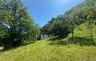 Casa de vacanta 98 mp| 25.000 mp teren| zona Valea Vintului - 7