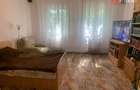 Casa individuala cu 3 imobile separate de vanzare in zona Iosefin