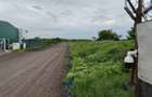 TEREN INTRAVILAN DE VÂNZARE ÎN OTOPENI-ODAI – OPORTUNITATE UNICĂ DE INVESTIȚIE! - 4