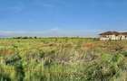 Teren Corbeanca, Balotesti, retras, cu pădure si lac in apropiere - 3