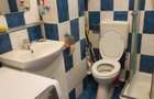 Închiriere Apartament 3 camere în Crangasi - 5