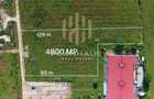Teren intravilan zona Magus  ,PUZ aprobat, Baia Mare, 48 ari - 1