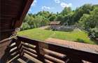 Cabana de vanzare pe Valea Avrigului - 24