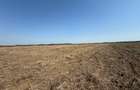 vand teren autostrada Bucurest Pitesti A1 30000 mp (3ha) cu deschidere la A1