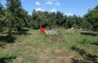 Teren intravilan | 2.810 mp|18ml|Zona Fratelia| - 6