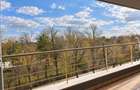 Luxury apartment Herastrau Park area - 3 rooms - 4