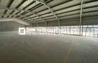Spatiu comercial nou amenajat - 4