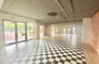 SPATIU COMERCIAL STRADAL/OPEN SPACE/5 PARCARI/IANCU NICOLAE/plus tva - 4